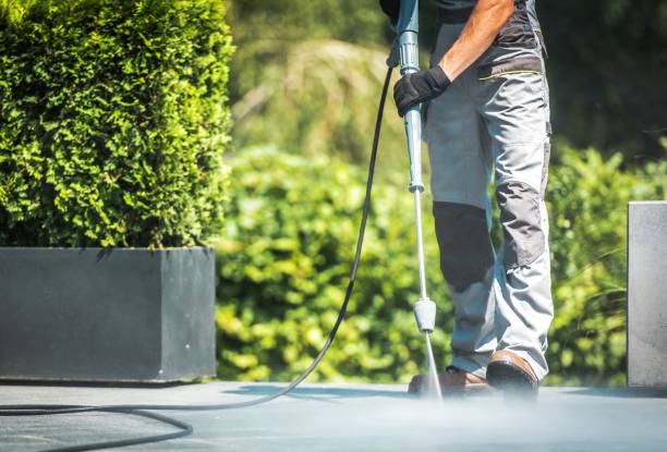 Best Driveway Pressure Washing  in Colwyn, PA